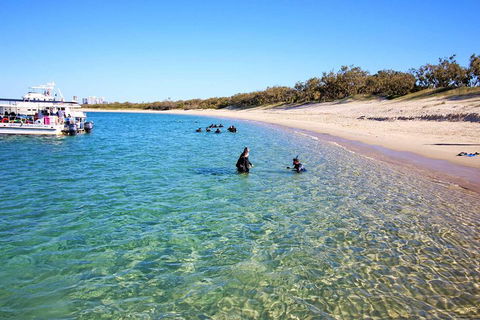 Wave Break Island Scuba Diving On The Gold Coast - Tourism Guide 4