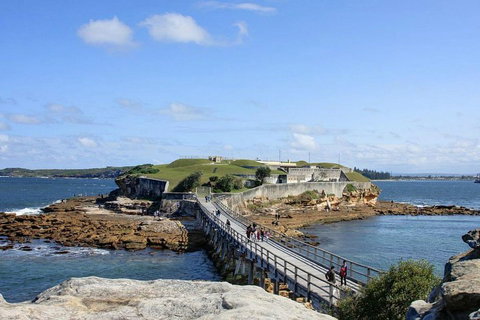 Sydney Six Beaches Trike Tour - Tourism Guide 0