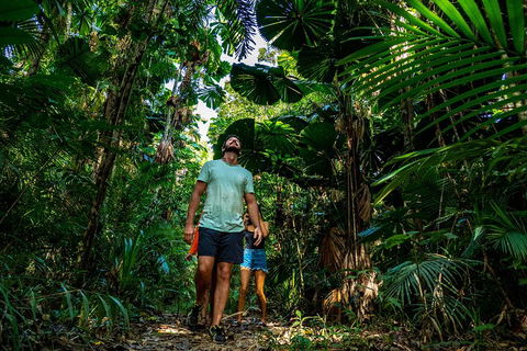 Full Day Daintree Rainforest And Mossman Gorge Tour - Cruises Travel 0