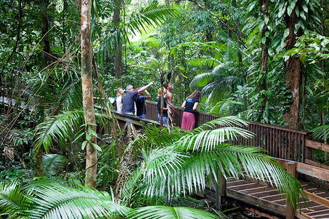 Full Day Daintree Rainforest And Mossman Gorge Tour - Cruises Travel 1