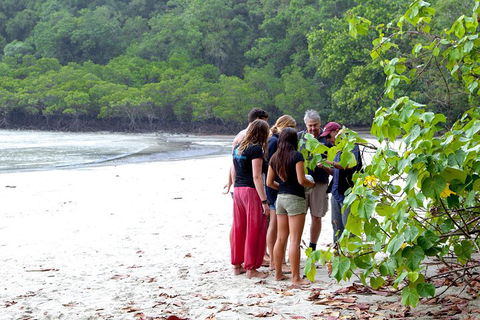 Full Day Daintree Rainforest And Mossman Gorge Tour - Cruises Travel 2