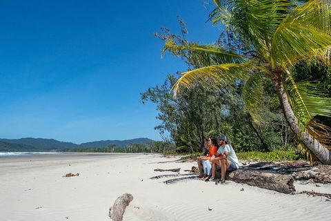 Full Day Daintree Rainforest And Mossman Gorge Tour - Cruises Travel 4
