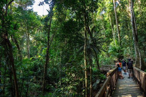 Full Day Daintree Rainforest And Mossman Gorge Tour - Cruises Travel 5