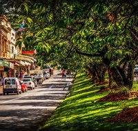 Fully Inclusive Blue Mountains Private Tour inc Scenic World  Featherdale entry - Tourism Guide