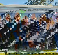 Full Day Mount Tamborine Winery Tour from Gold Coast - Tourism Guide