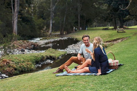 Mt Tamborine - Hinterland Wonders Self Guided - Travel Agents 0