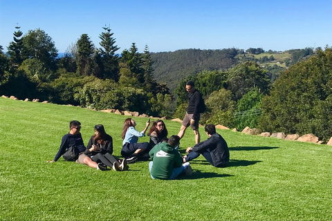 Mt Tamborine - Hinterland Wonders Self Guided - Travel Agents 1