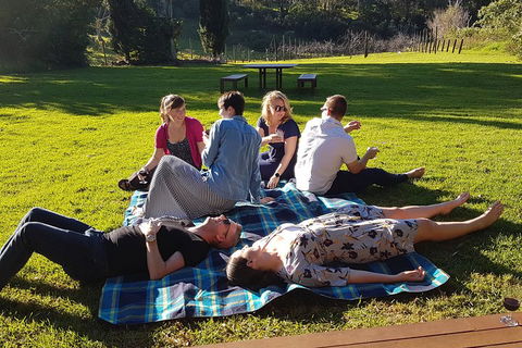 Mt Tamborine - Hinterland Wonders Self Guided - Travel Agents 2