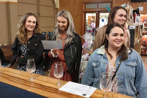 Mt Tamborine - Hinterland Wonders Self Guided - Travel Agents 3