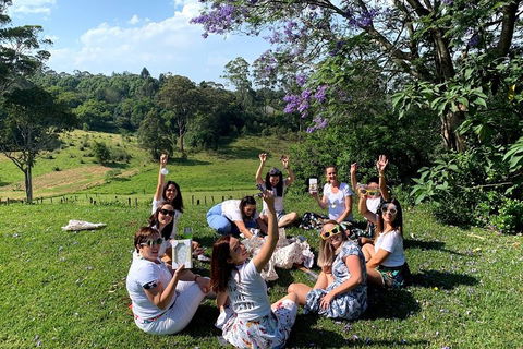 Mt Tamborine - Hinterland Wonders Self Guided - Travel Agents 5