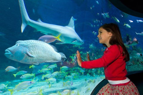 SEA LIFE Melbourne Aquarium Admission Ticket - Tourism Guide 1