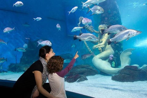 SEA LIFE Melbourne Aquarium Admission Ticket - Tourism Guide 4
