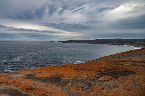 Kangaroo Island Luxury Small Group 'Flinders Chase Focus' Full Day Tour - Tourism Guide 0