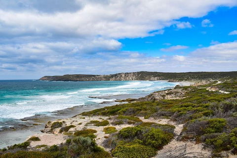 Kangaroo Island Luxury Small Group 'East End Explorer' Full Day Tour - Tourism Guide 0