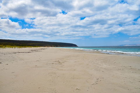 Kangaroo Island Luxury Small Group 'East End Explorer' Full Day Tour - Tourism Guide 3