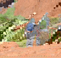 Afternoon Kata Tjuta Small Group Tour - Tourism Guide