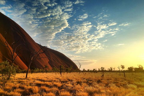 Highlights Of Uluru Including Sunrise And Breakfast - Travel Search 0