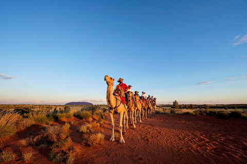 Uluru Small-Group Tour By Camel At Sunrise Or Sunset - Travel Search 3