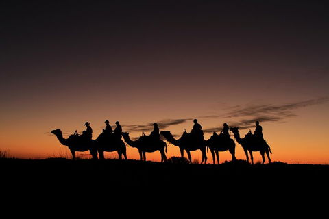 Uluru Small-Group Tour By Camel At Sunrise Or Sunset - Travel Search 4
