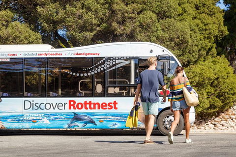 Discover Rottnest With Ferry & Bus Tour From Perth Or Fremantle - Travel Search 1