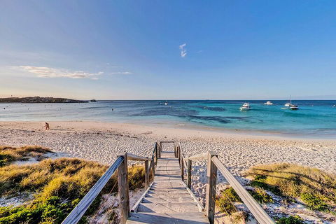 Discover Rottnest With Ferry & Bus Tour From Perth Or Fremantle - Travel Search 4