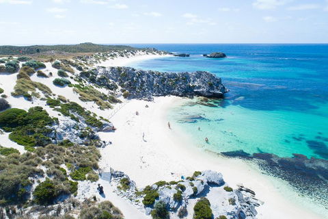 Discover Rottnest With Ferry & Bus Tour From Perth Or Fremantle - Travel Search 5