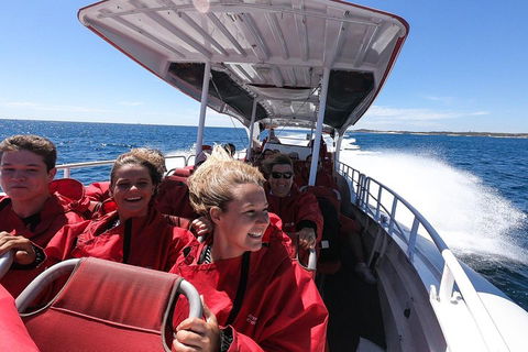 Adventure Rottnest Tour With Ferry & Adventure Cruise From Perth Or Fremantle - Tourism Guide 0