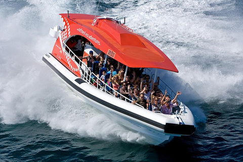 Adventure Rottnest Tour With Ferry & Adventure Cruise From Perth Or Fremantle - Tourism Guide 2