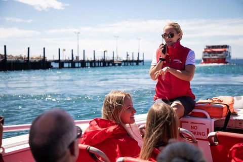 Adventure Rottnest Tour With Ferry & Adventure Cruise From Perth Or Fremantle - Tourism Guide 4