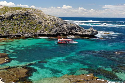 Adventure Rottnest Tour With Ferry & Adventure Cruise From Perth Or Fremantle - Tourism Guide 5