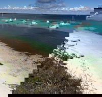 Experience Rottnest with Ferry  Bike Hire from Perth or Fremantle - Tourism Guide