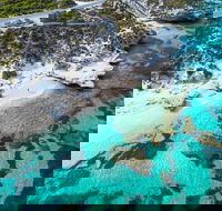 Rottnest Island Round-Trip Ferry from Perth or Fremantle - Tourism Guide