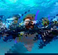 Great Barrier Reef Diving and Snorkeling Cruise from Cairns - Tourism Guide