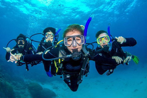Great Barrier Reef Diving And Snorkeling Cruise From Cairns - Travel Search 0
