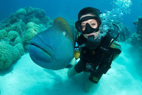 Great Barrier Reef Diving And Snorkeling Cruise From Cairns - Travel Search 2