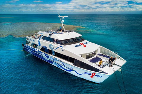 Great Barrier Reef Diving And Snorkeling Cruise From Cairns - Travel Search 5