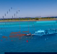 Ocean Free Green Island  Great Barrier Reef Snorkel Cruise Cairns 25 guests - Tourism Guide