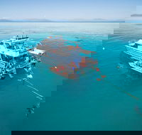 Ocean Freedom Great Barrier Reef Personal Luxury Snorkel  Dive Cruise Cairns - Tourism Guide