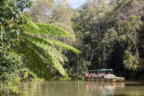 Best Of Kuranda Including Skyrail, Kuranda Scenic Railway And Rainforestation - Travel Search 5