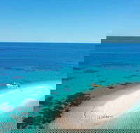 Ocean Safari Great Barrier Reef Experience in Cape Tribulation - Tourism Guide