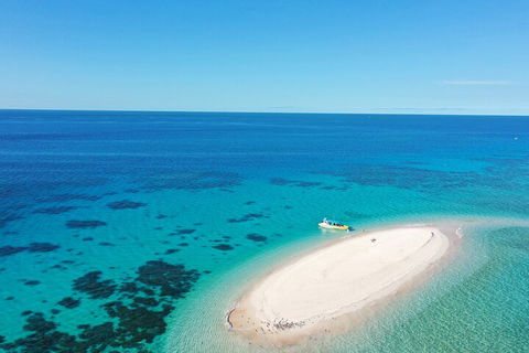 Ocean Safari Great Barrier Reef Experience In Cape Tribulation - Travel Agents 0