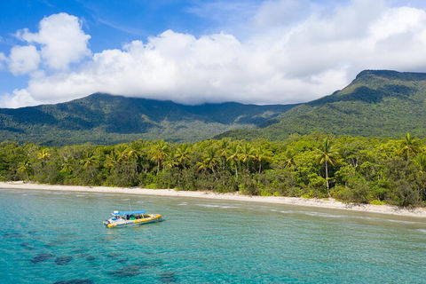 Ocean Safari Great Barrier Reef Experience In Cape Tribulation - Travel Agents 2