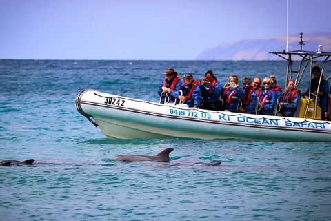 Kangaroo Island 75-Minute Ocean Safari - Travel Agents 4