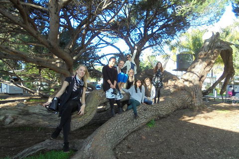 1/2 Day Swan Valley Wine Cheese & Chocolate Tour Inc Afternoon Cruise To Perth - Travel Search 0