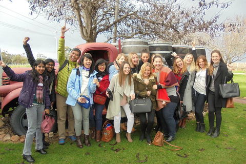 1/2 Day Swan Valley Wine Cheese & Chocolate Tour Inc Afternoon Cruise To Perth - Travel Search 5