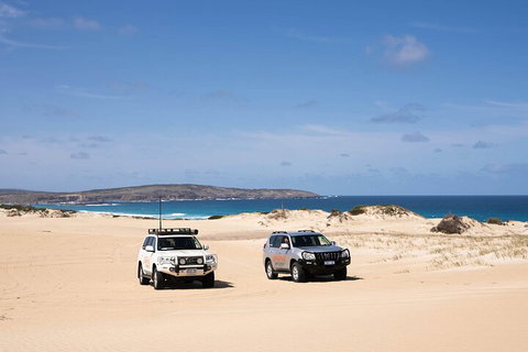 3 Day Port Lincoln And Coffin Bay Private Tour - Travel Agents 0
