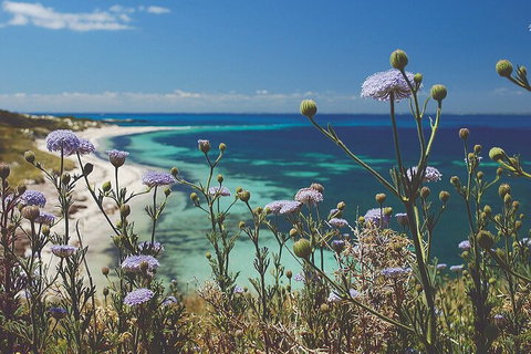 Rottnest Island Full-Day Trip With Guided Island Tour From Perth - Travel Agents 2