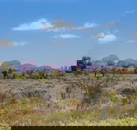 Overnight Uluru Ayers Rock Small-Group Camping Tour - Tourism Guide