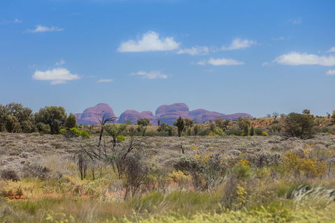 Overnight Uluru (Ayers Rock) Small-Group Camping Tour - Travel Search 0