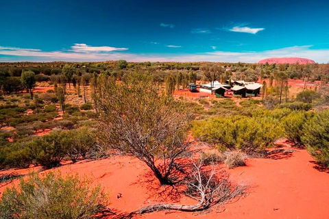 Overnight Uluru (Ayers Rock) Small-Group Camping Tour - Travel Search 2